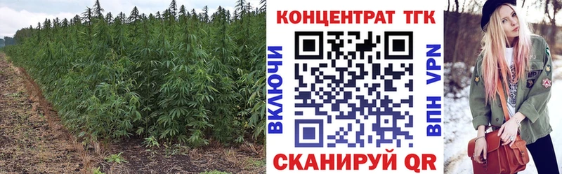 Дистиллят ТГК гашишное масло  дарнет шоп  Рудня 
