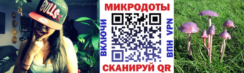 Псилоцибиновые грибы ЛСД Рудня